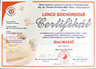 náhled cert 7